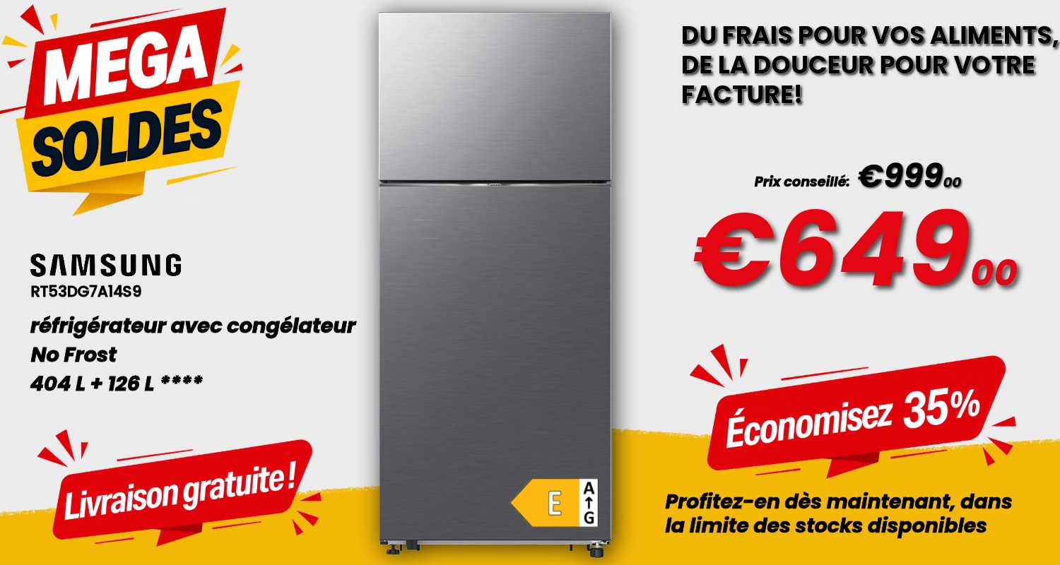 Samsung RT53DG7A14S Soldes